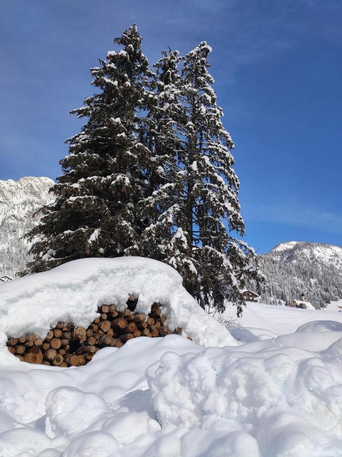 Appartamento Centrale Sappada Buitenkant foto